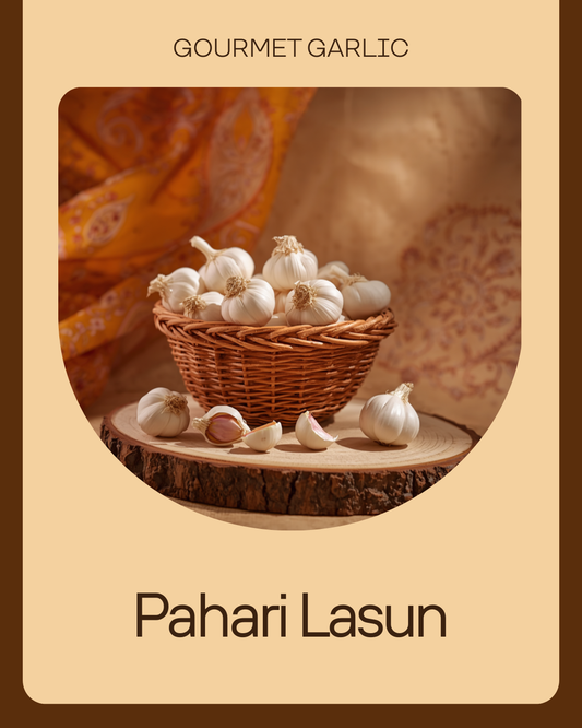 SNL Pahari Lasun - branded product image