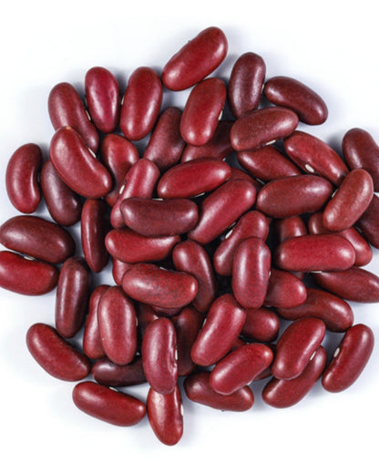 SNL Bhaderwahi Rajmah deep-crimson kidney beans